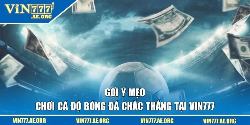 Gợi ý mẹo chơi cá độ bóng đá chắc thắng tại VIN777
