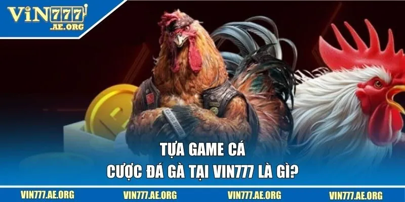 Tựa game cá cược đá gà tại VIN777 là gì?